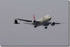 飛行機